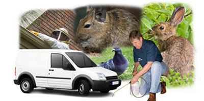 Raunds local van